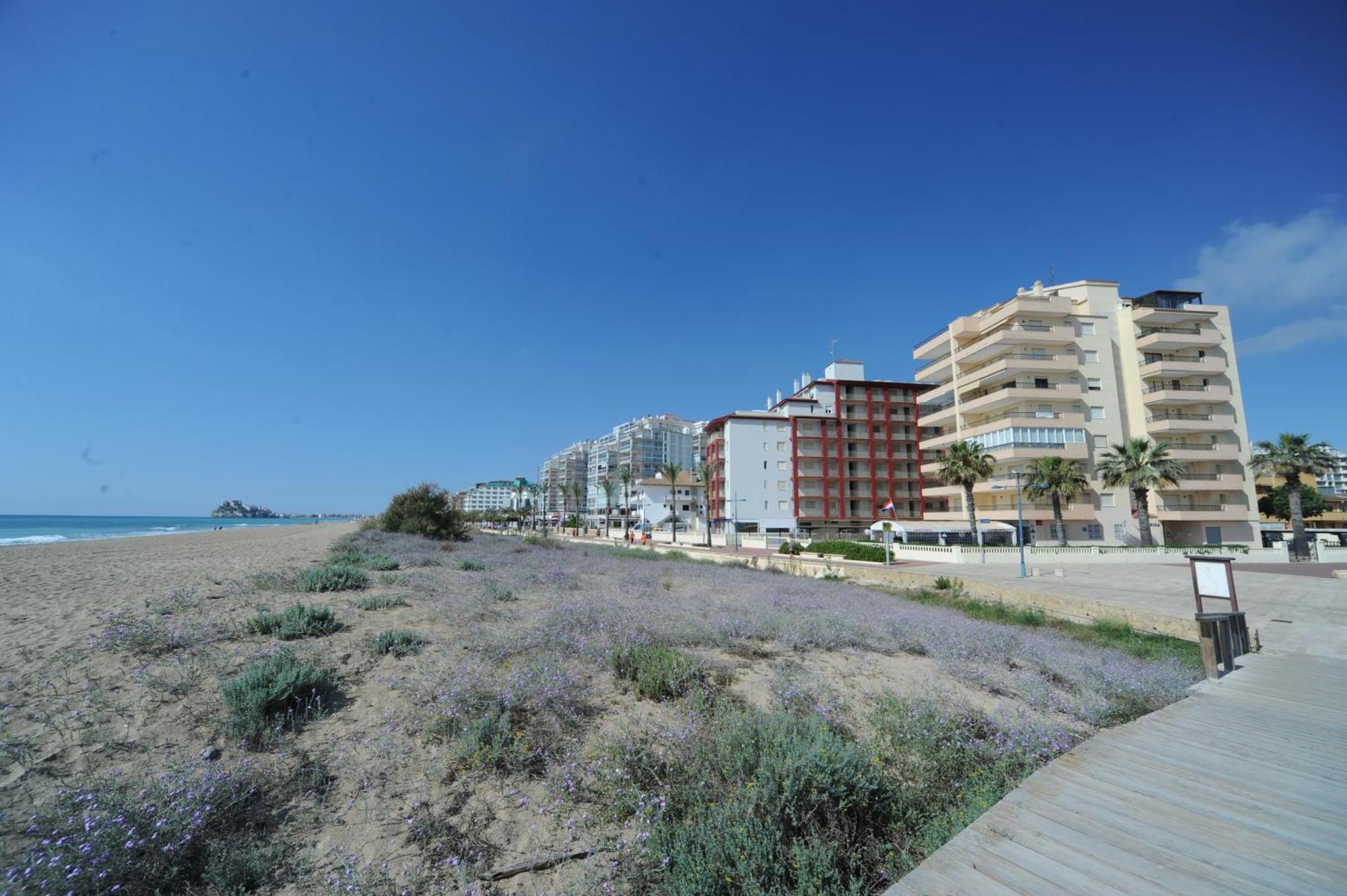Apartmán Marina Vistamar Orangecosta Peñíscola Exteriér fotografie