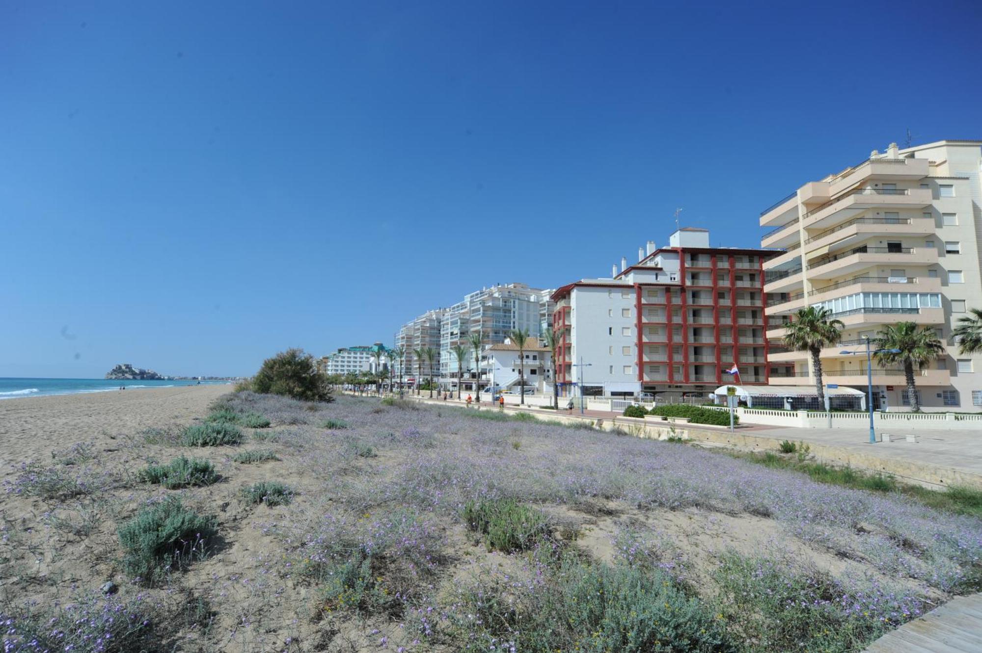 Apartmán Marina Vistamar Orangecosta Peñíscola Exteriér fotografie